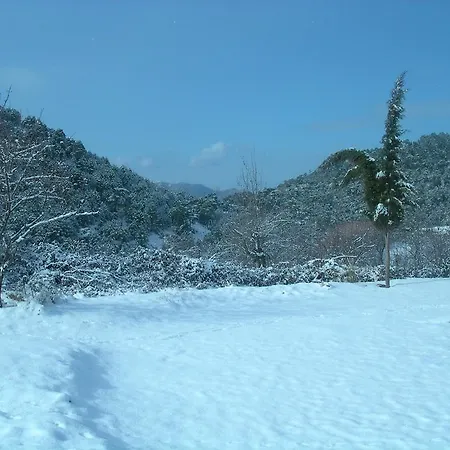La Casa De La Luz